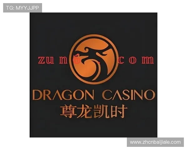 尊龙凯时百家乐官网支持多种支付方式，快速存取款让玩家体验更加便捷顺畅