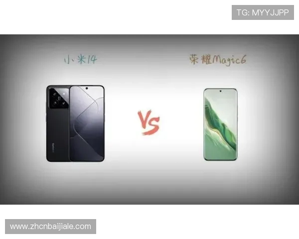 K8真人官网入口安全登录技巧，避免账号被盗和信息泄露的实用建议