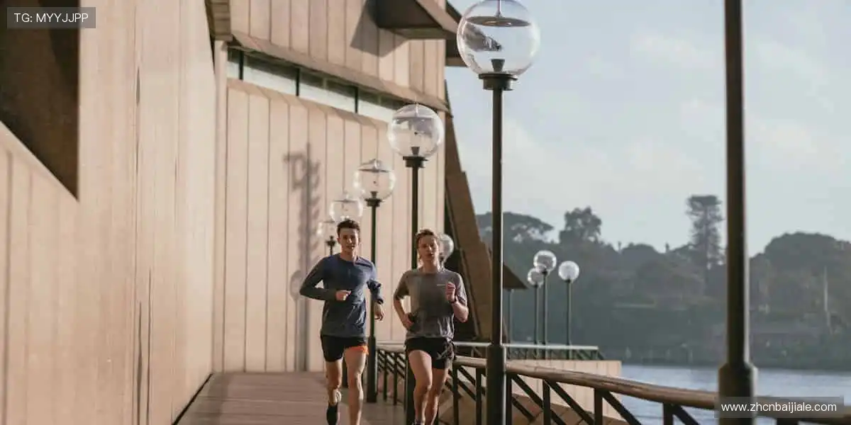 高清综合盛宴平台：视讯捕鱼真人体育，嗨玩升级